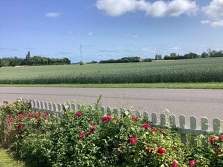 Vakantiehuis Torrig Buitenaudio-opname 2