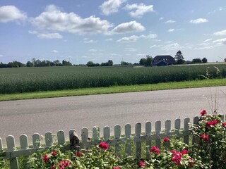 Vakantiehuis Torrig Buitenaudio-opname 3