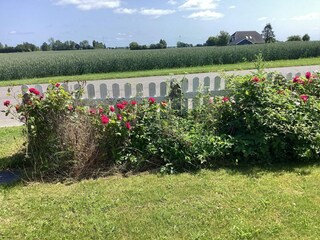 Vakantiehuis Torrig Buitenaudio-opname 6