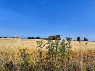 Ferienhaus Torrig  21