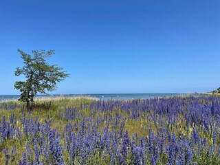 Casa per le vacanze Visby  10