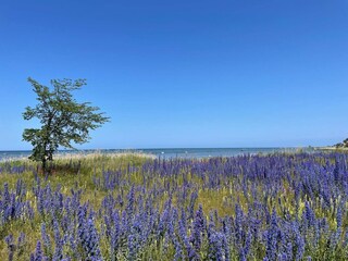 Casa per le vacanze Visby  25