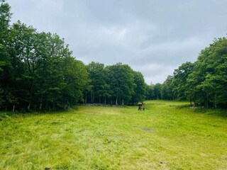 Maison de vacances Ellös Enregistrement extérieur 4