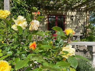 Ferienhaus Torsås Außenaufnahme 8