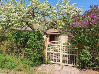 Ferienhaus Torsås Außenaufnahme 12