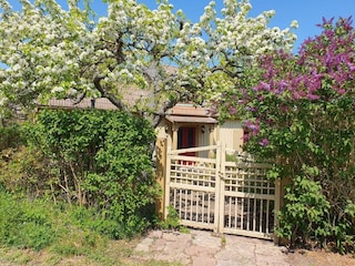 Vakantiehuis Torsås Buitenaudio-opname 12