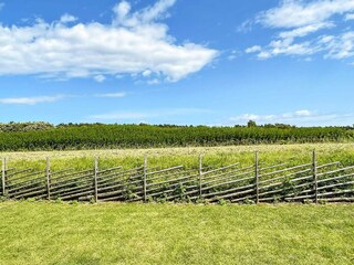 Ferienhaus Hulterstad Außenaufnahme 12