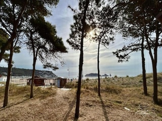 Appartamento L'Estartit Ambiente 49