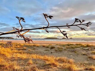 Maison de vacances L'Estartit Environnement 34