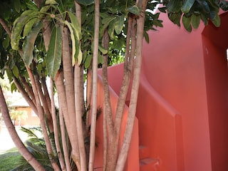 Apartment Torrox Pueblo Outdoor Recording 3