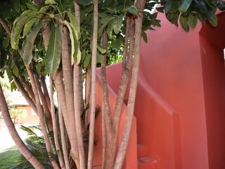 Appartement Torrox Pueblo Buitenaudio-opname 2