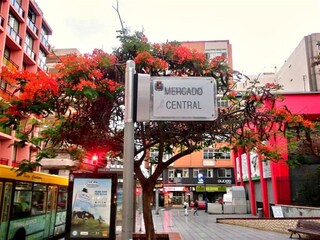 Appartamento Las Palmas Registrazione all'aperto 14