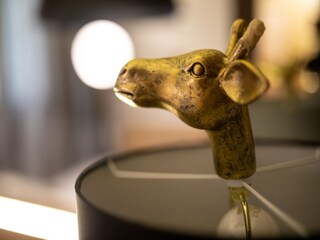 Casa de vacaciones Las Palmas  57