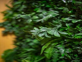 Vakantiehuis Las Palmas  50