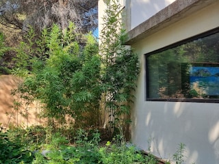 Ferienwohnung Argelès-sur-Mer Außenaufnahme 1