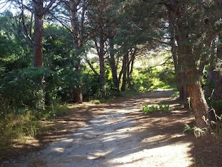 Ferienwohnung Argelès-sur-Mer Außenaufnahme 6