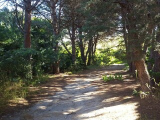 Holiday apartment Argelès-sur-Mer Outdoor Recording 6