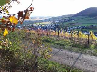 Blick über Osann und Monzel