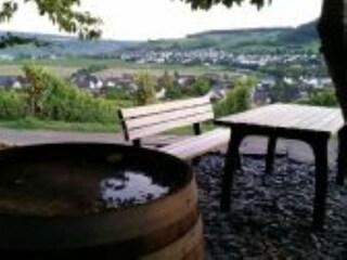 Holiday apartment Osann-Monzel Environment 12