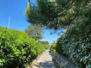 Ferienwohnung List Außenaufnahme 3