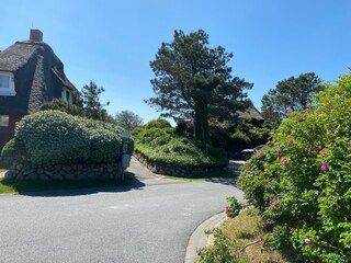 Ferienwohnung List Umgebung 14