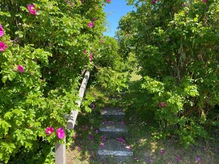 Ferienwohnung List Umgebung 15