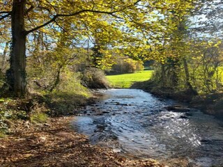 Parco vacanze Les Forges Ambiente 14