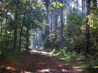 Villa Den Burg Ambiente 18