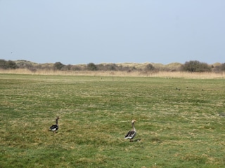 Villa Den Burg Ambiente 20