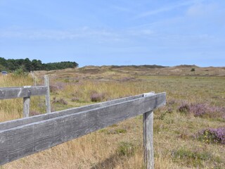 Vakantiehuis Oosterend Omgeving 19
