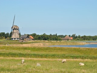 Appartement Oosterend Omgeving 18