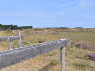 Appartement Oosterend Environnement 17