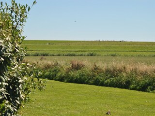 Vakantiehuis Oosterend Omgeving 21