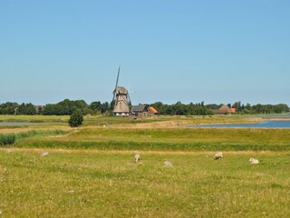Vakantiehuis Oosterend Omgeving 22