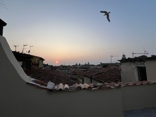 Ferienwohnung Pisa Außenaufnahme 3