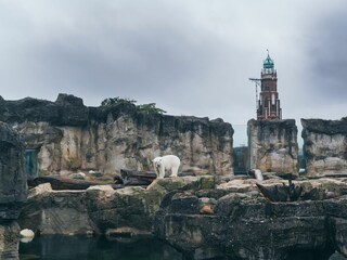 Sport / Aktivitäten