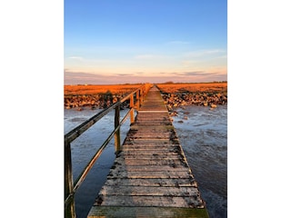 Holiday apartment Cappel-Neufeld Environment 17