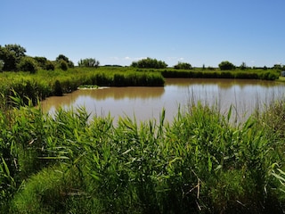 Landschaft