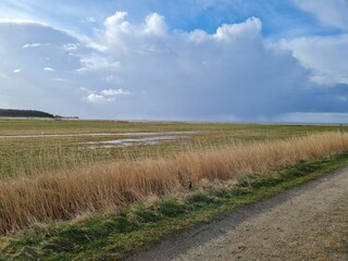 Landschaft