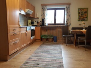 Appartamento per vacanze Bad Goisern Caratteristiche 13