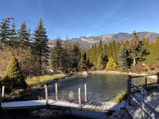 Appartamento per vacanze Bad Goisern Registrazione all'aperto 8