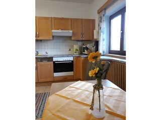 Appartamento per vacanze Bad Goisern Caratteristiche 20