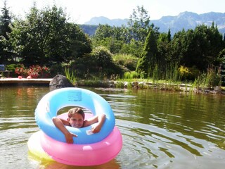 Appartamento per vacanze Bad Goisern Ambiente 38