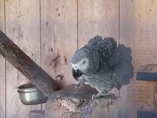 Appartamento per vacanze Bad Goisern Ambiente 33