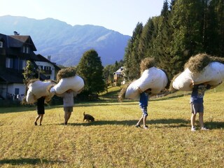 Appartamento per vacanze Bad Goisern Ambiente 27