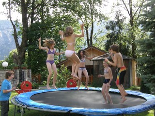 Appartamento per vacanze Bad Goisern Ambiente 28