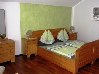 Appartamento per vacanze Bad Goisern Caratteristiche 15