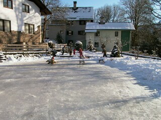 Winterspass - wenn der Teich zufriert