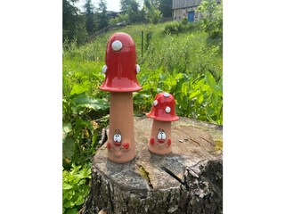 Casa de vacaciones Harzgerode Grabación al aire libre 4