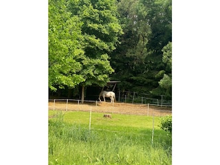 Casa de vacaciones Harzgerode Entorno 11